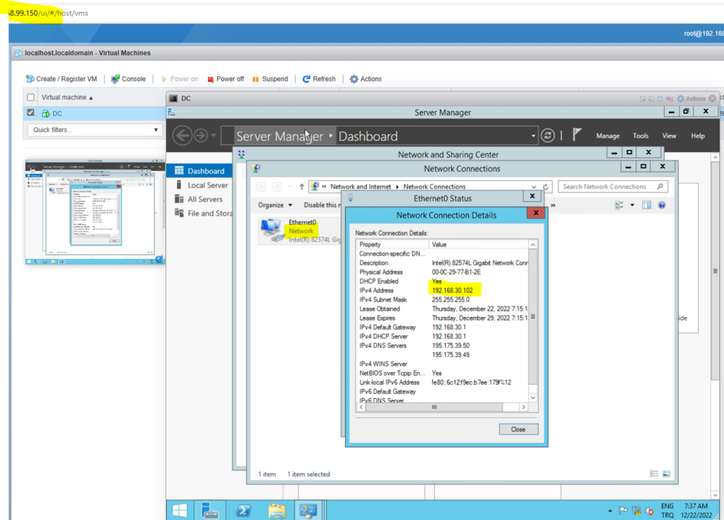 VMware ESXi Trunk Yapılandırması Nedir,Nasıl Yapılır